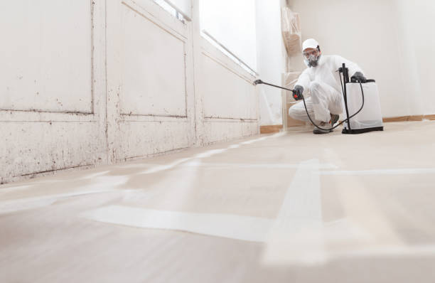 24/7 Emergency Mold Removal experts in Morganville, NJ