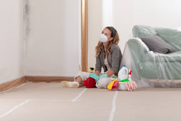 Reliable Mold Removal contractor in Morganville, NJ by WQB Mold Removal